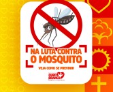 Na luta contra o mosquito